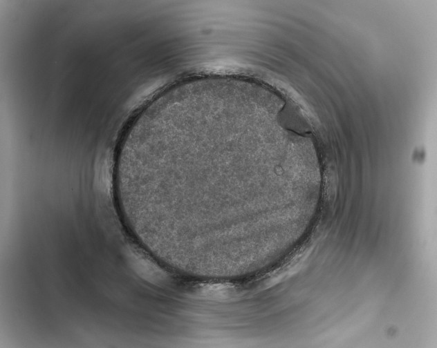 X0000101970446200808151341
