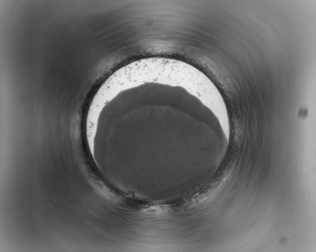 X0000101970447200808151342