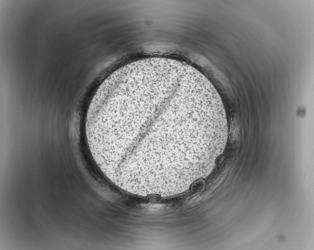 X0000101970448200808151342