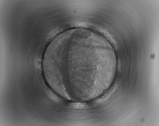 X0000101970449200808151342