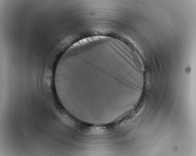 X0000101970451200808151342