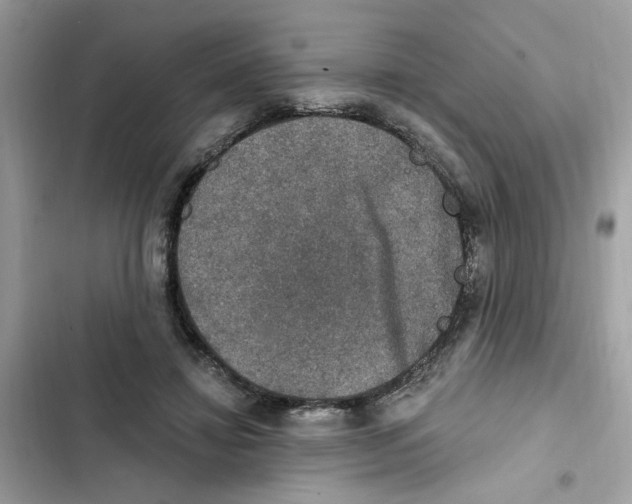 X0000101970452200808151342