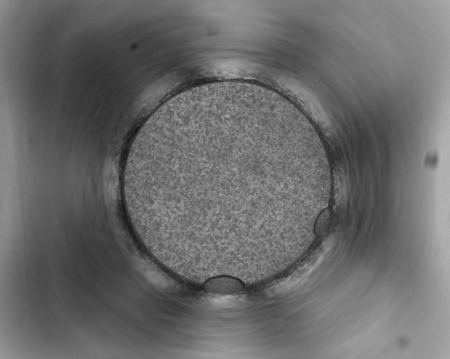 X0000101970453200808151342