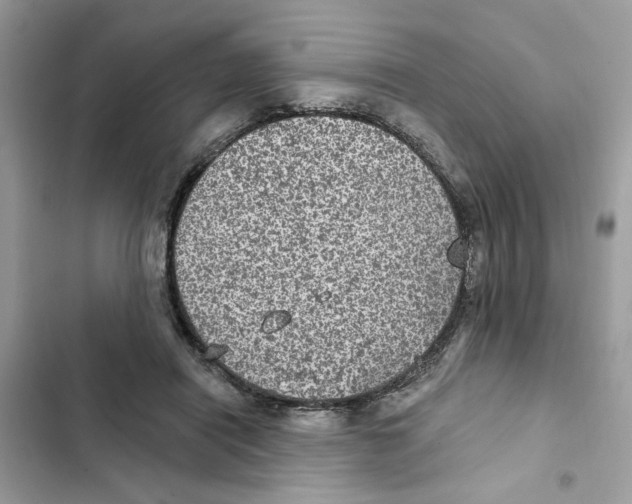 X0000101970454200808151342
