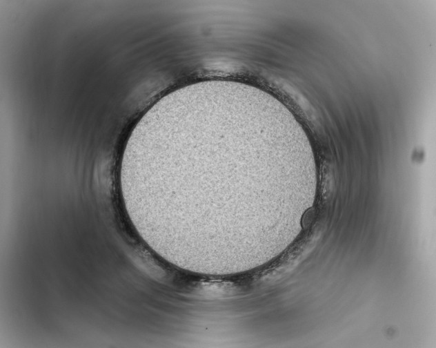 X0000101970455200808151342