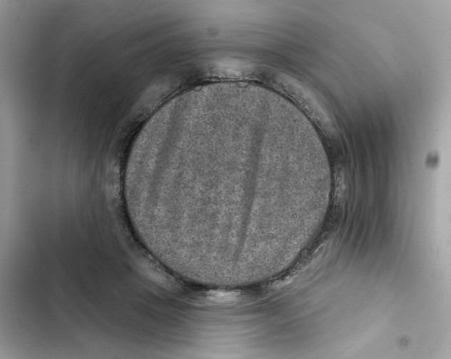 X0000101970457200808151342