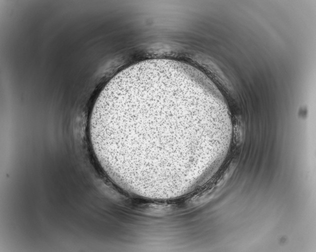 X0000101970458200808151342