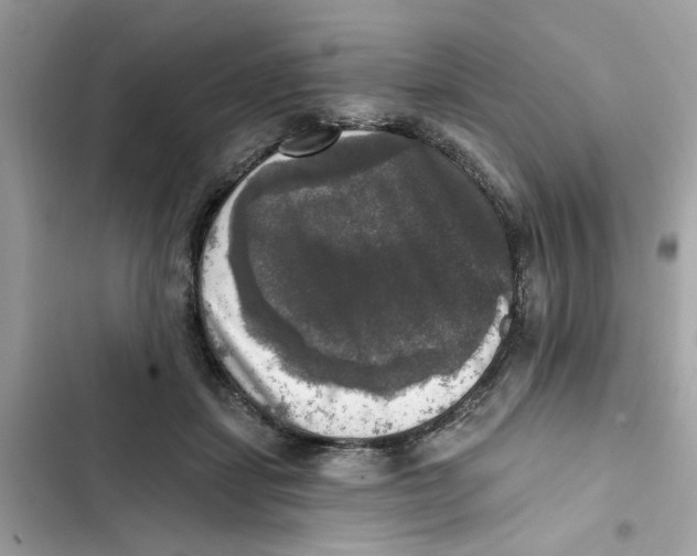X0000101970459200808151342