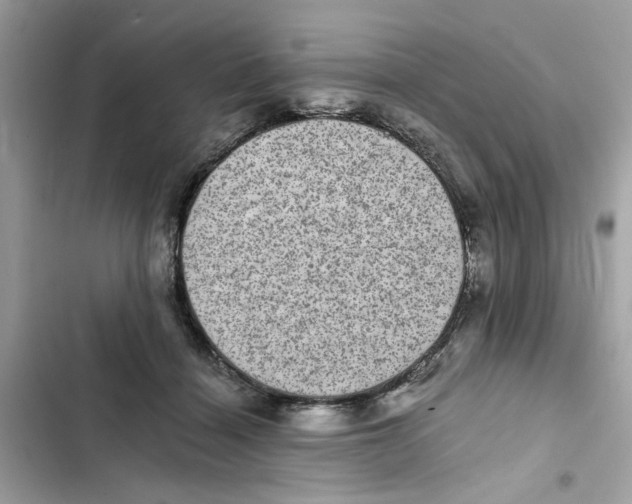 X0000101970460200808151342