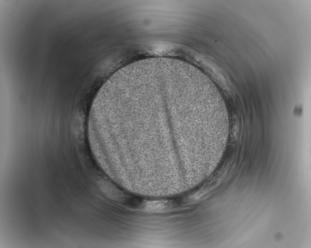 X0000101970461200808151342
