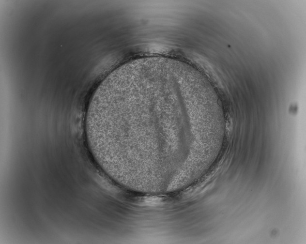 X0000101970462200808151342