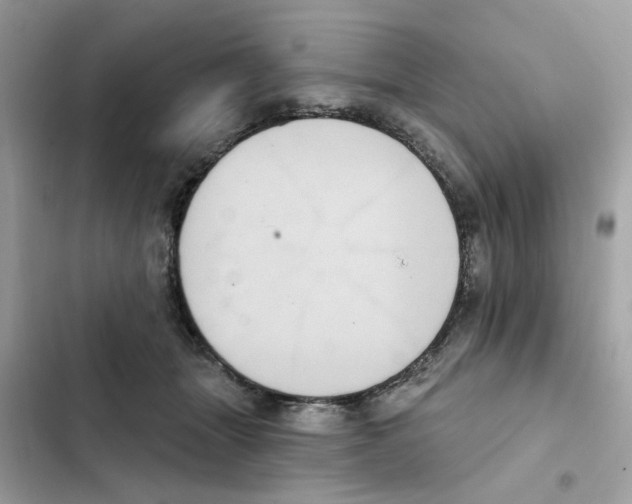 X0000101970463200808151342