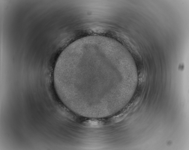 X0000101970464200808151342