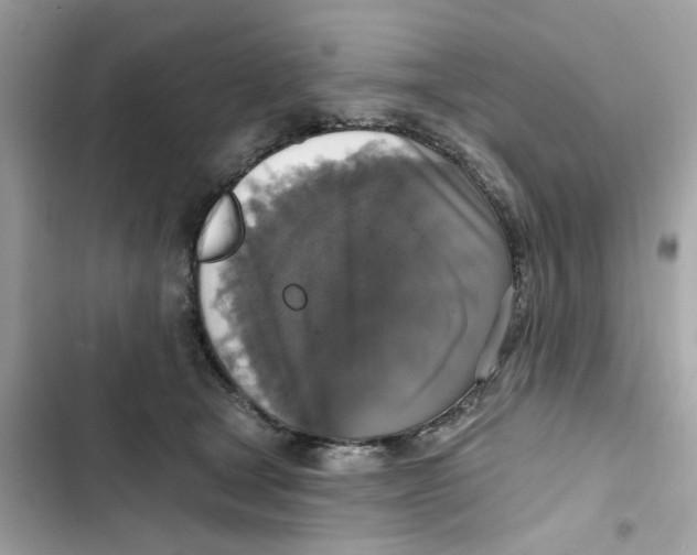 X0000101970465200808151342