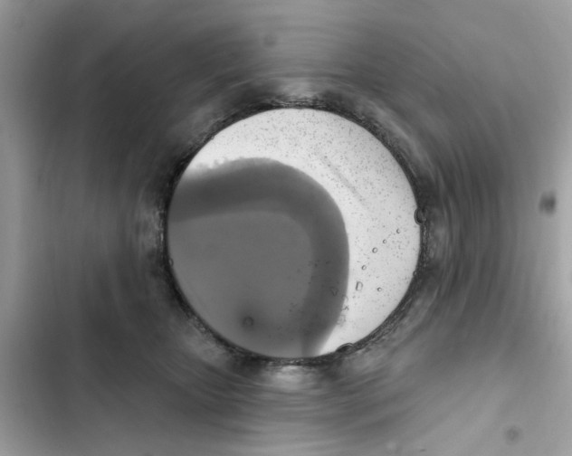 X0000101970467200808151342