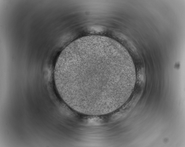 X0000101970468200808151342