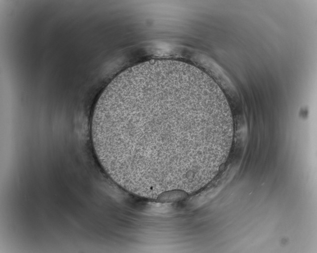 X0000101970469200808151342