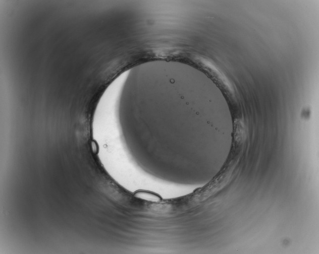 X0000101970471200808151342