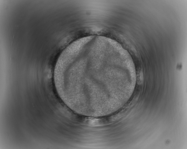 X0000101970472200808151342