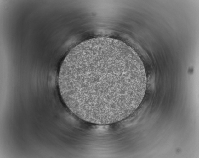 X0000101970474200808151342