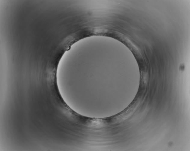 X0000101970475200808151342