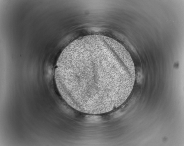 X0000101970476200808151342