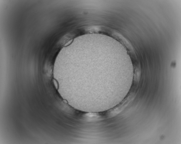 X0000101970477200808151342