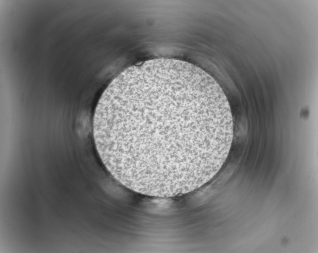 X0000101970478200808151342