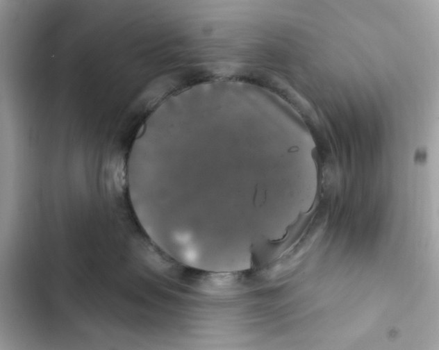 X0000101970479200808151342