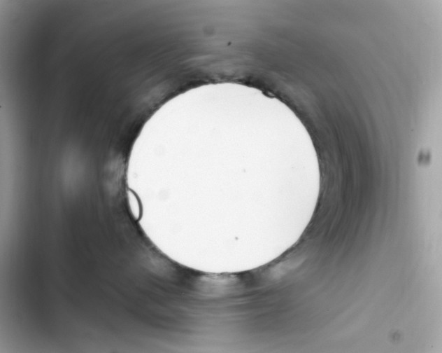 X0000101970480200808151342