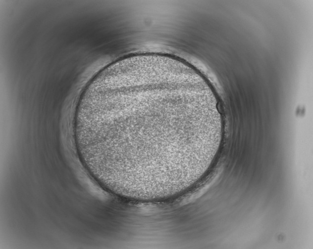 X0000101970481200808151341