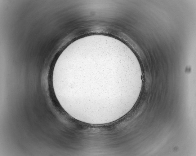 X0000101970482200808151341