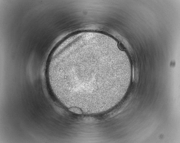 X0000101970483200808151341