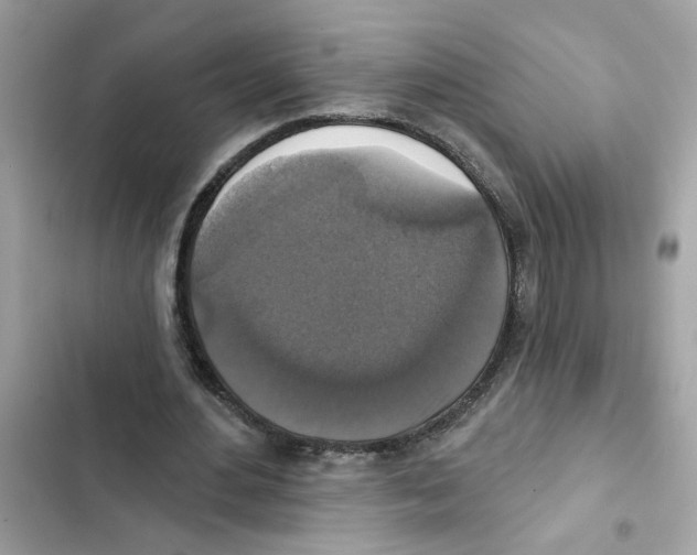 X0000101970484200808151341