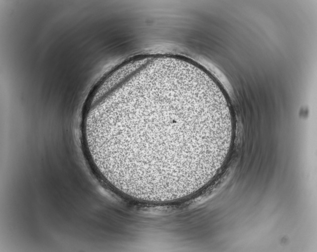 X0000101970485200808151341