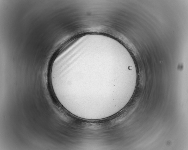 X0000101970486200808151341