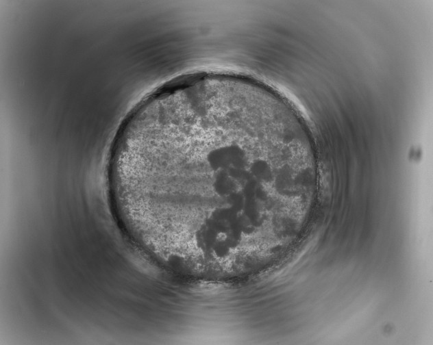 X0000101970487200808151341