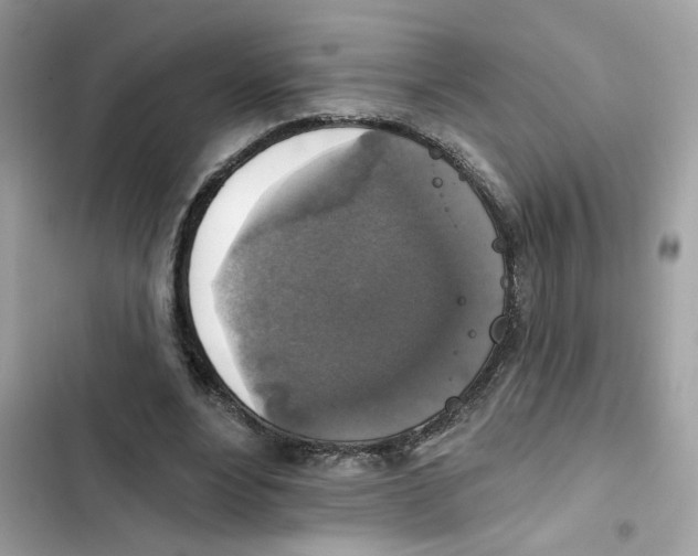 X0000101970488200808151341