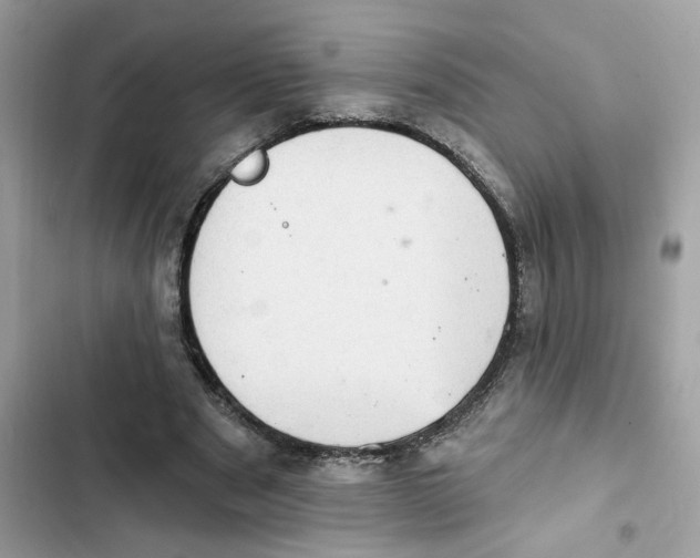 X0000101970489200808151341