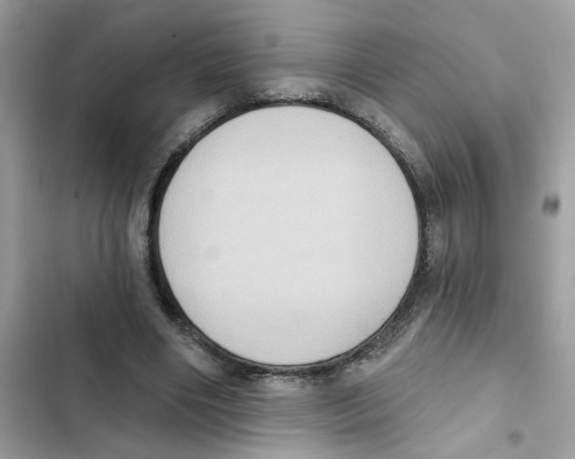 X0000101970490200808151341