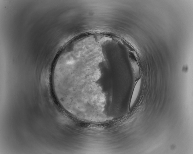 X0000101970491200808151341