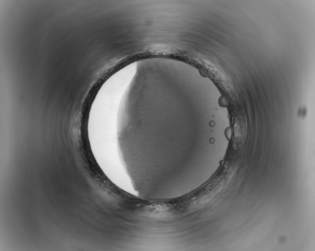 X0000101970492200808151341