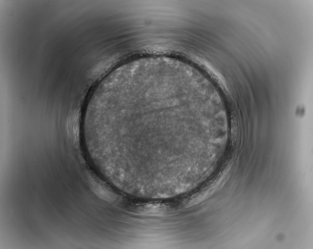 X0000101970493200808151341