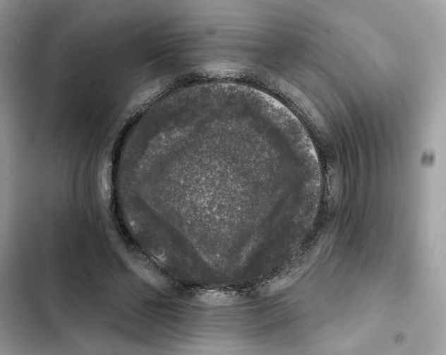 X0000101970494200808151341