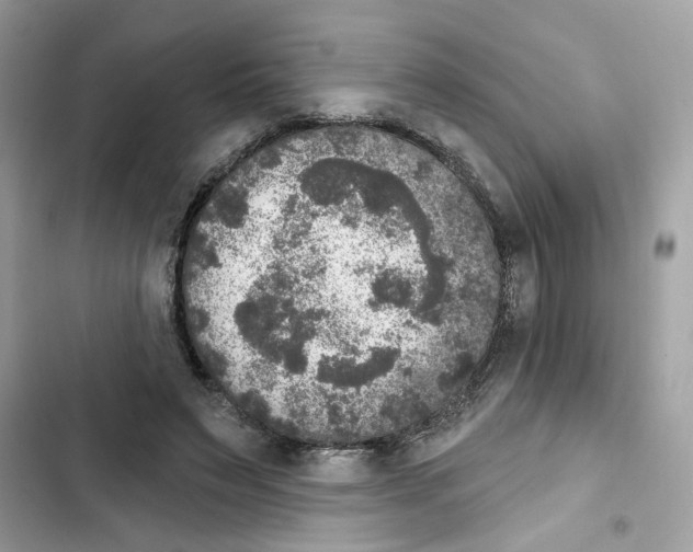 X0000101970495200808151341
