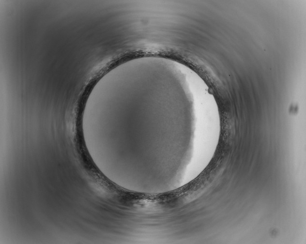 X0000101970496200808151341