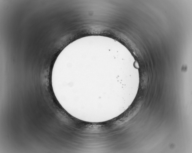 X0000101970497200808151341