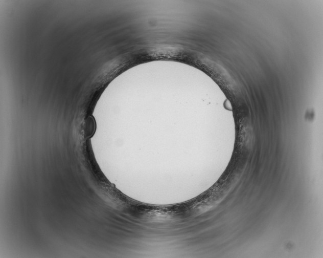 X0000101970498200808151341