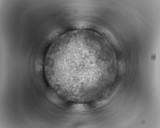X0000101970499200808151341