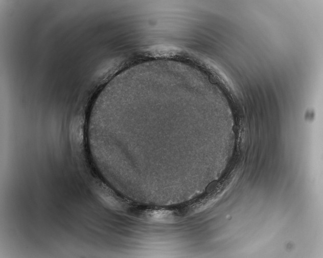 X0000101970501200808151341